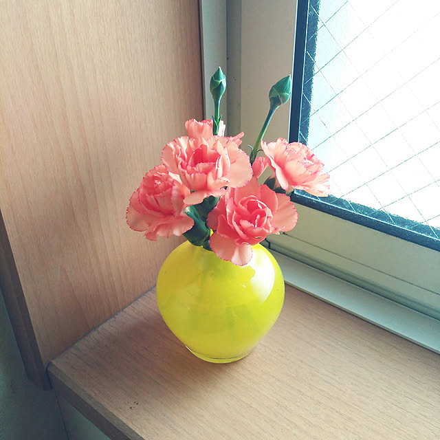 YUKOさんの実例写真