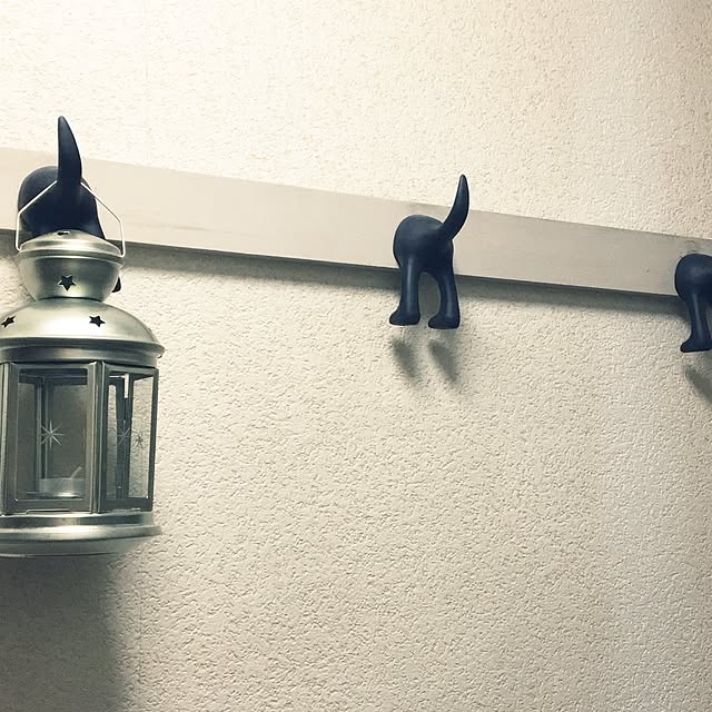 ohanaさんの実例写真