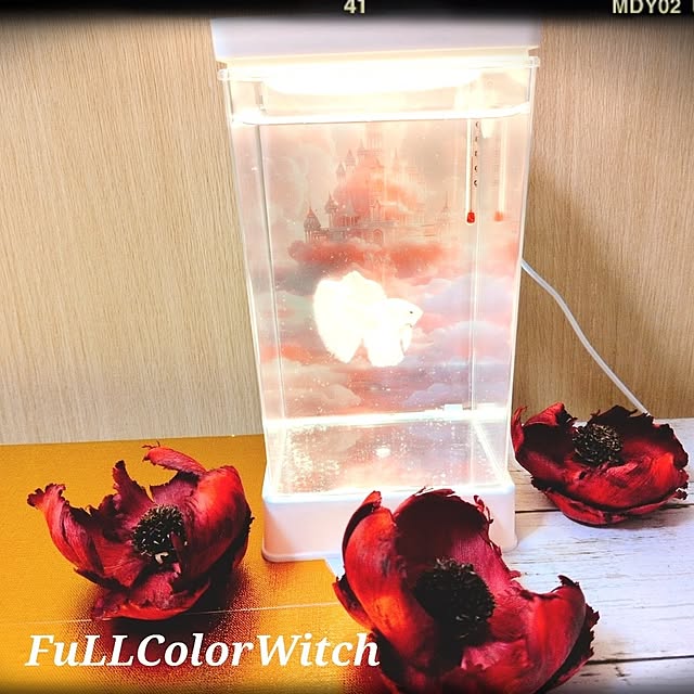 colorcolorさんの実例写真