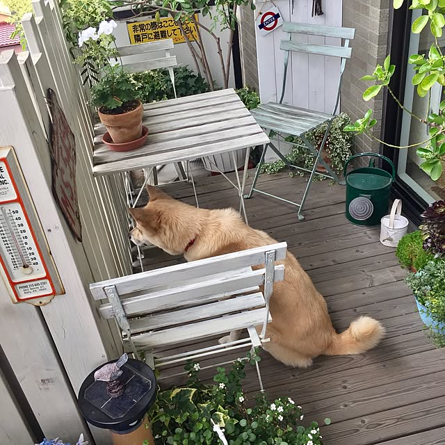 leonaさんの実例写真