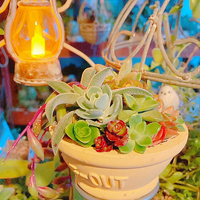 Hanakaさんの実例写真