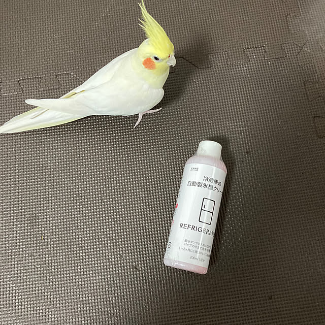 toratanさんの実例写真