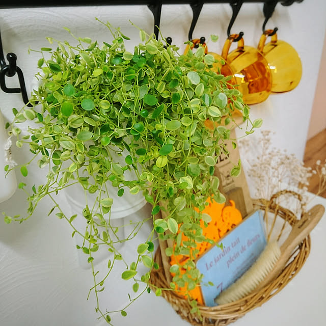 4-mamaさんの実例写真