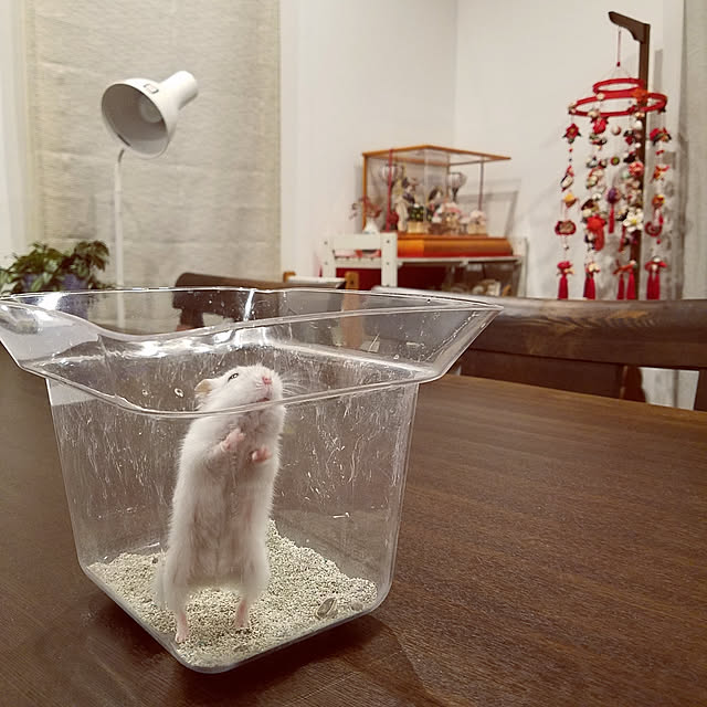 325unさんの実例写真