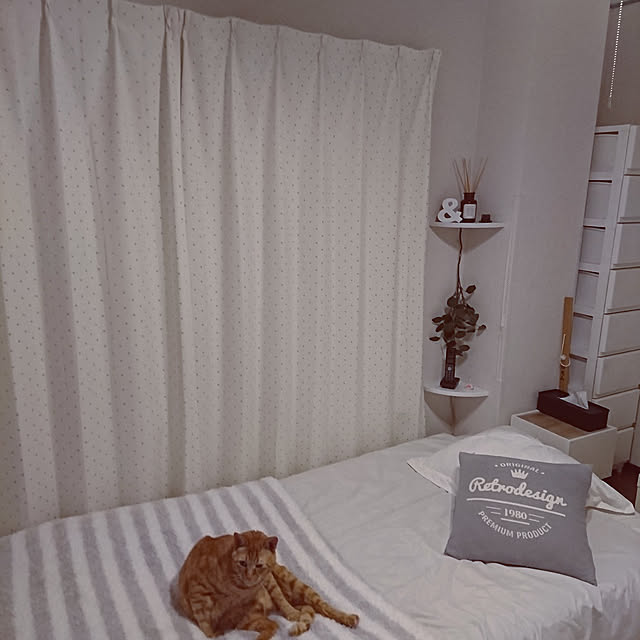 kyoko_aさんの実例写真