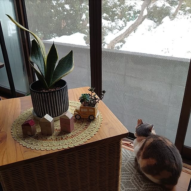 fukuさんの部屋