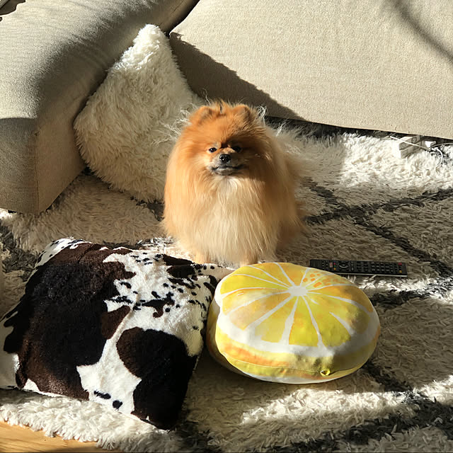 rromomo1さんの実例写真