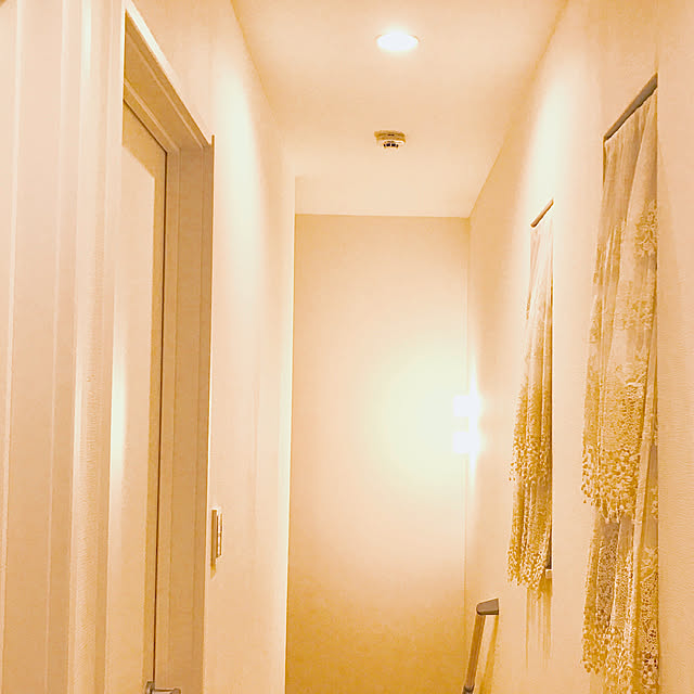 Ruriさんの実例写真