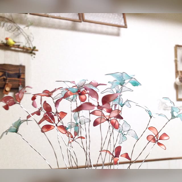 tomotomo325さんの実例写真