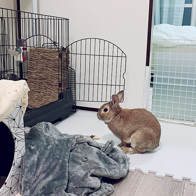 YUKARINさんの実例写真