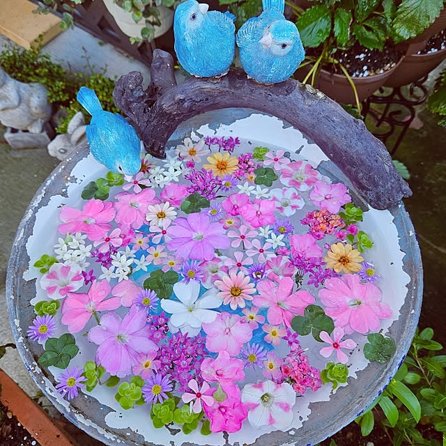 mocomocoさんの実例写真