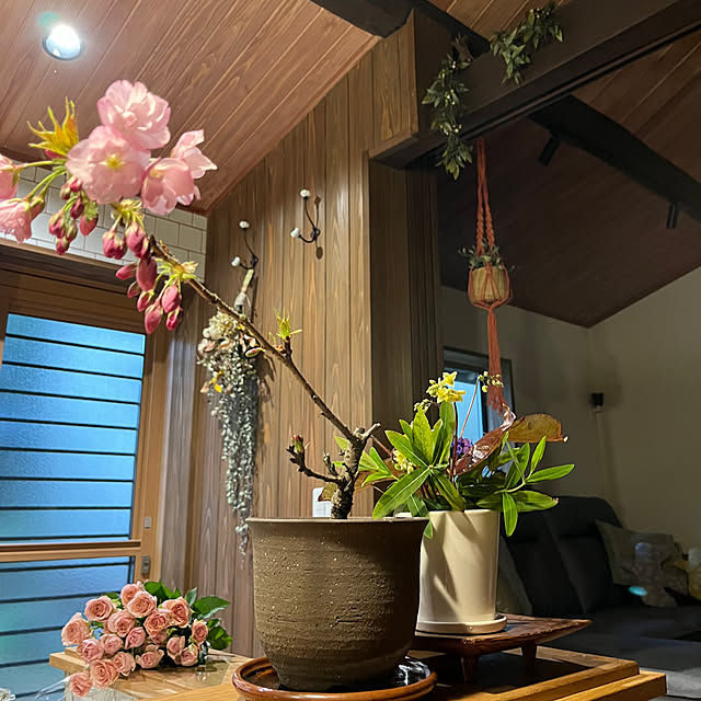 cota2さんの部屋
