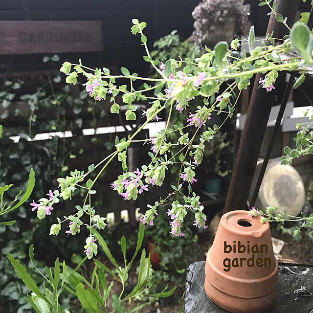 bibianさんの実例写真