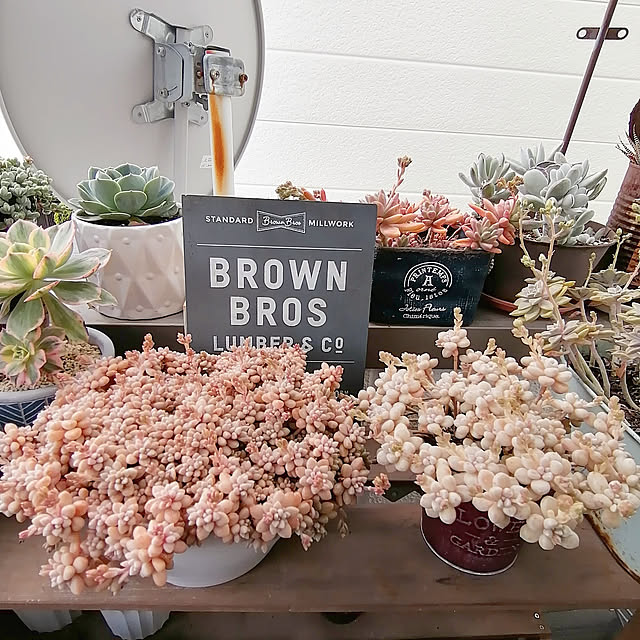 VERANDARJUNさんの実例写真