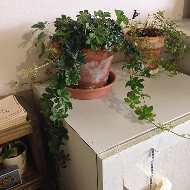 leonaさんの実例写真