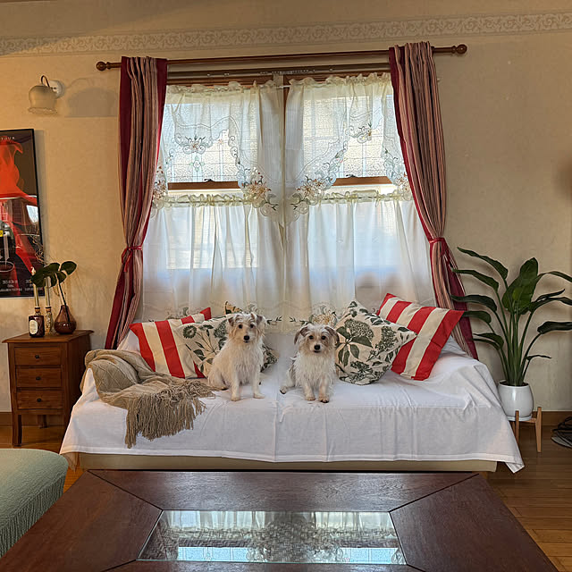 リビング/窓辺のインテリア/アンティーク/輸入住宅/マーヴィン...などのインテリア実例 - 2026-01-17 15:46:12