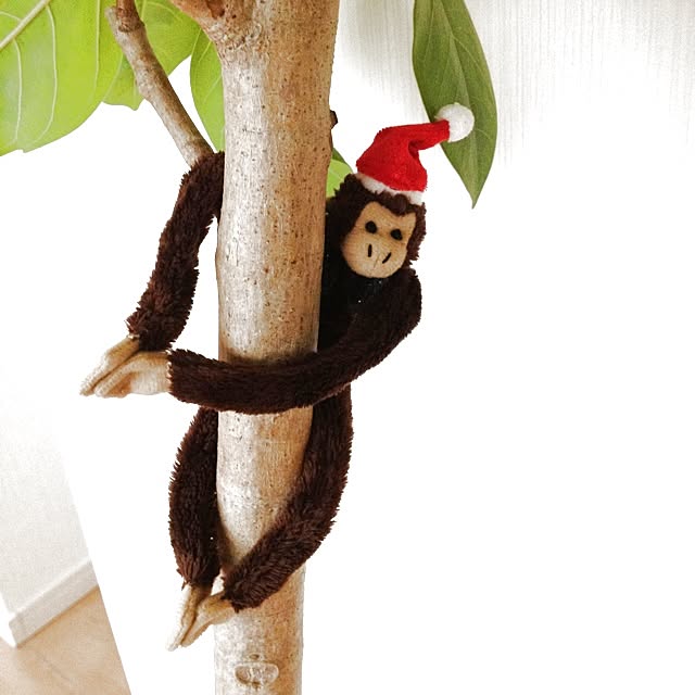 dicekbeetleさんの実例写真