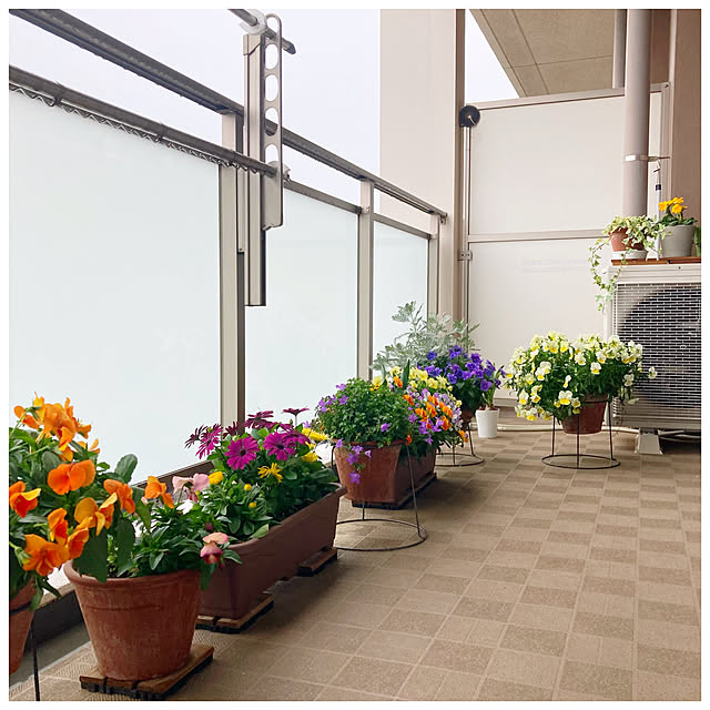 ksfioriさんの部屋