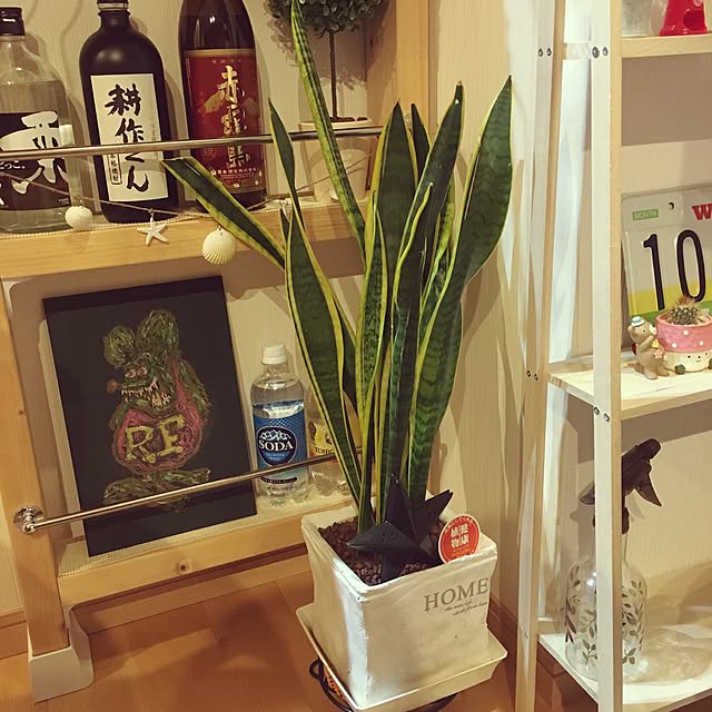 yumさんの実例写真