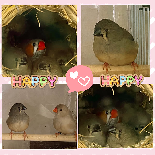 HappyRoseさんの実例写真
