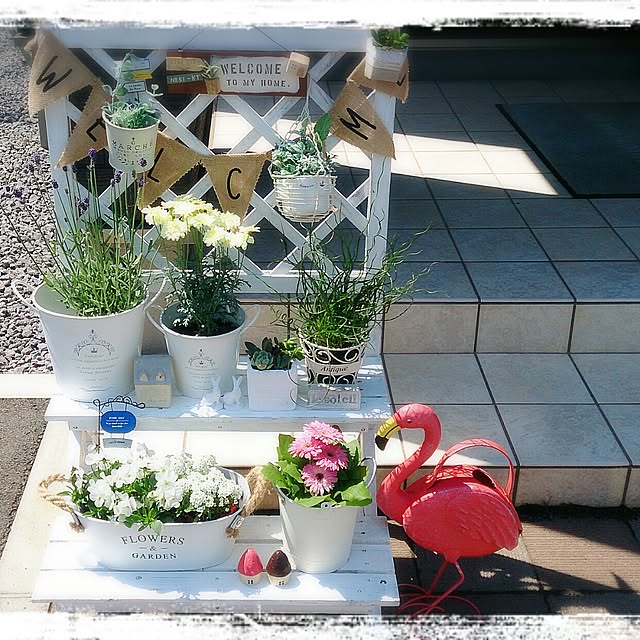 実例写真