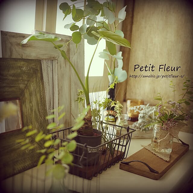 Petitさんの実例写真