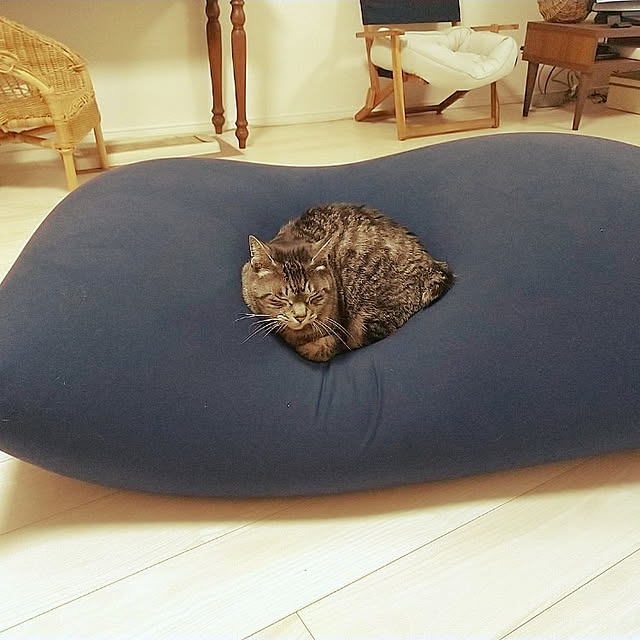 miumiuさんの実例写真