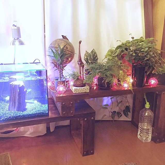 kikunamiさんの実例写真