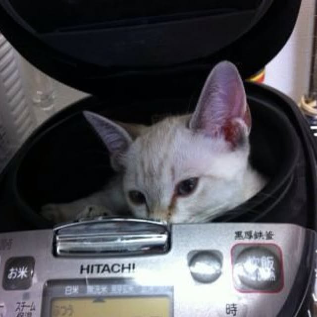 kmstmさんの実例写真
