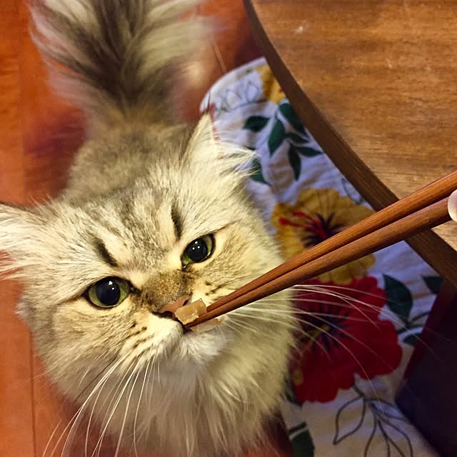 butachanさんの実例写真