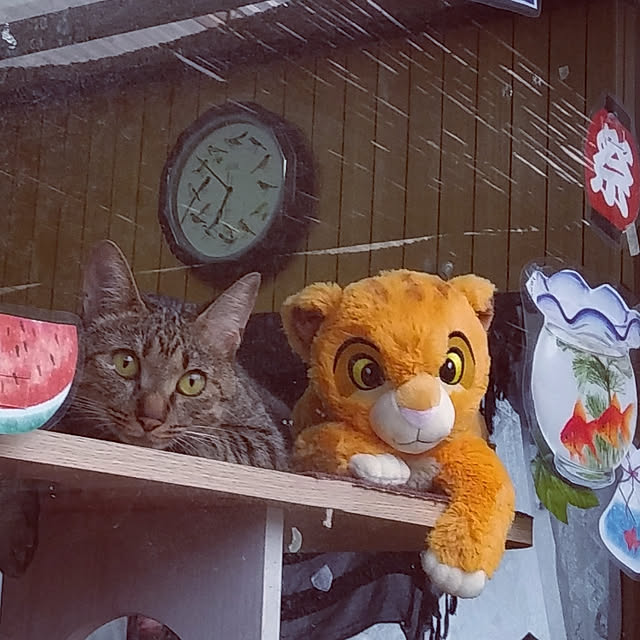 tantomeenさんの実例写真