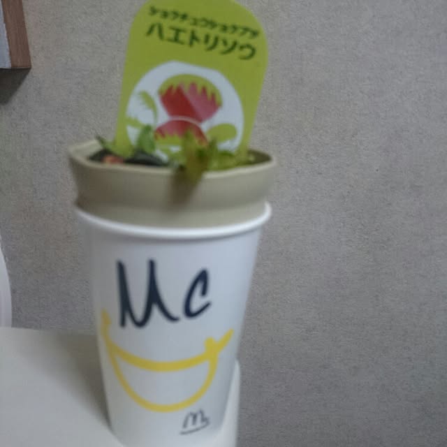 buririnkoさんの実例写真