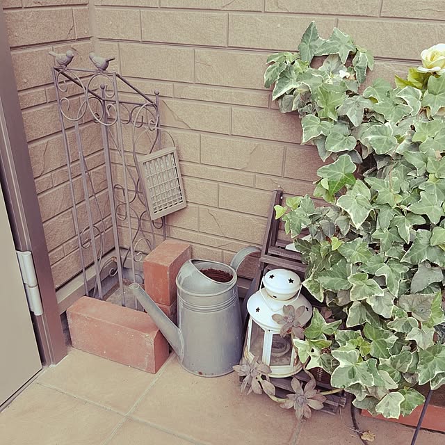 mofukoさんの部屋