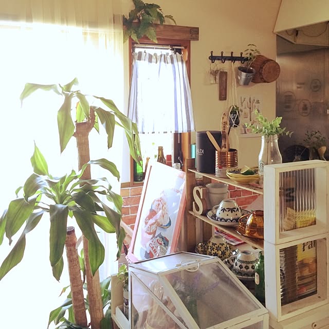 painmomoさんの実例写真