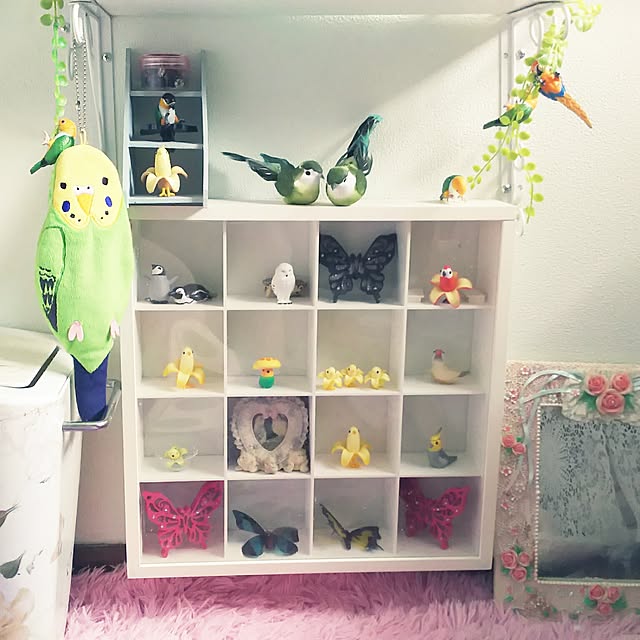 rurinoaさんの実例写真