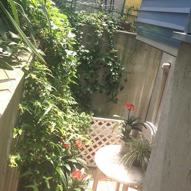 piroさんの実例写真
