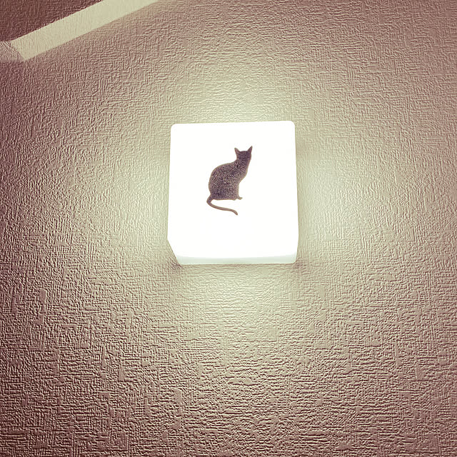 nekoさんの実例写真