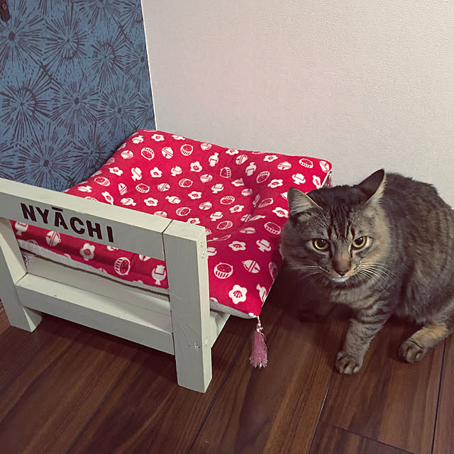 oniyomeさんの実例写真