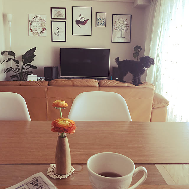 mmariさんの実例写真
