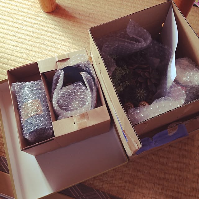 Yukoさんの実例写真
