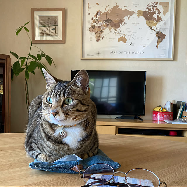 suemonta14さんの実例写真