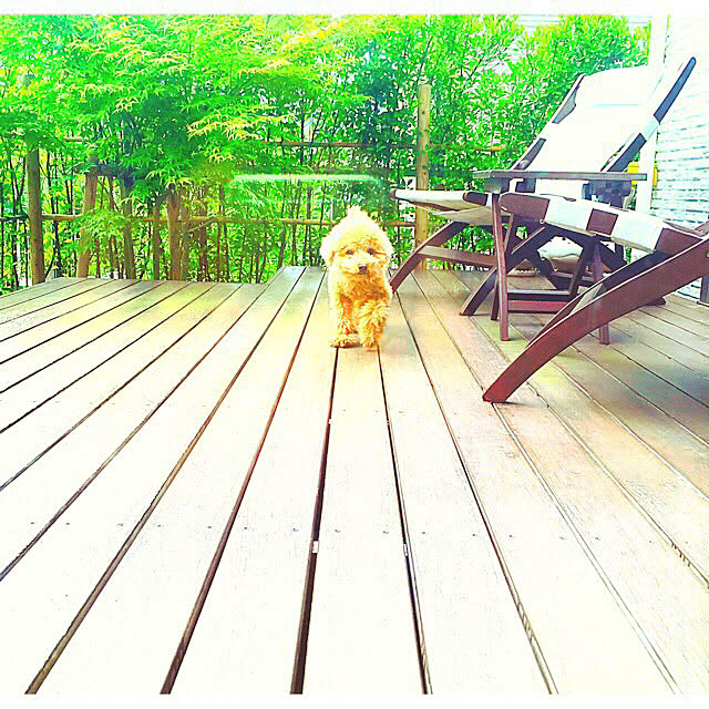 petitさんの実例写真