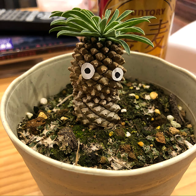 実例写真