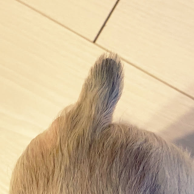 ohanaさんの実例写真