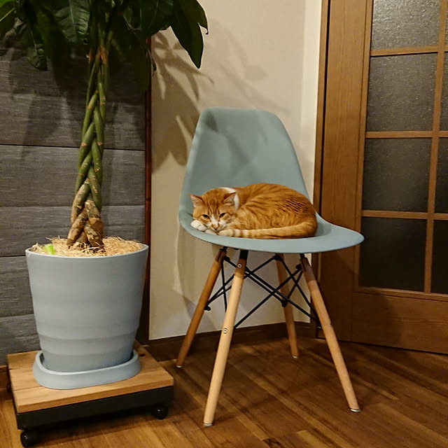 taka-kiさんの実例写真