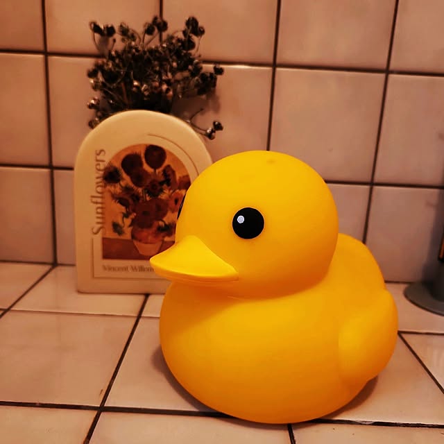 doriさんの実例写真