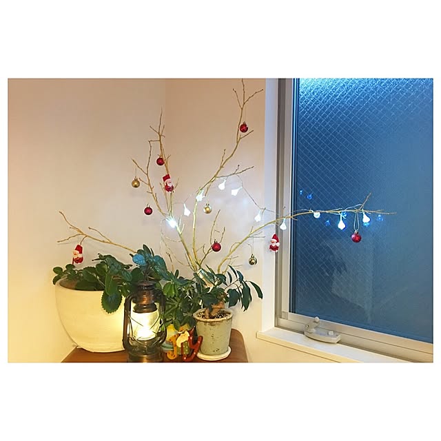 faaaaanta_____さんの実例写真