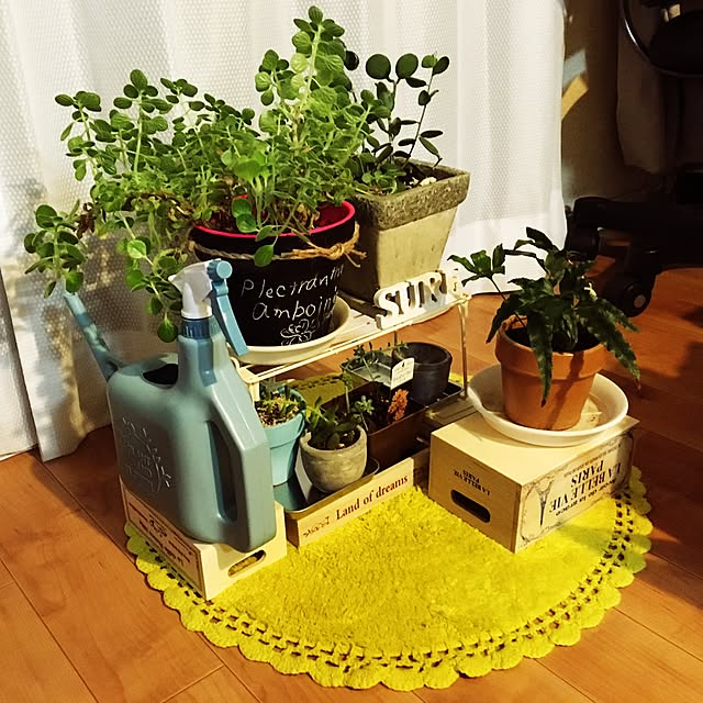 N.aiさんの実例写真
