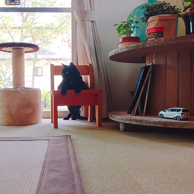 nanaさんの実例写真
