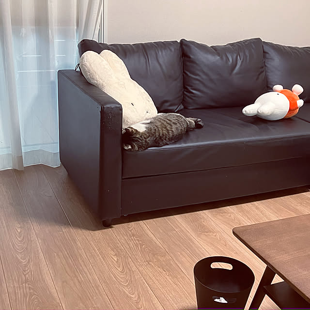 miichanさんの実例写真